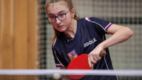 tenis pařízková 47059812202 98096a81cc c